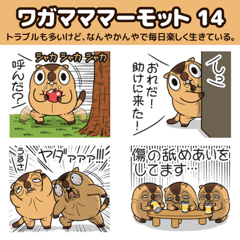 マーモット14お知らせ1