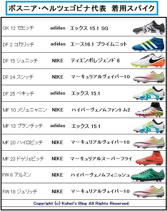 ボスニアヘルツェゴビナ代表 アルミン・ホジッチ 実使用キリン