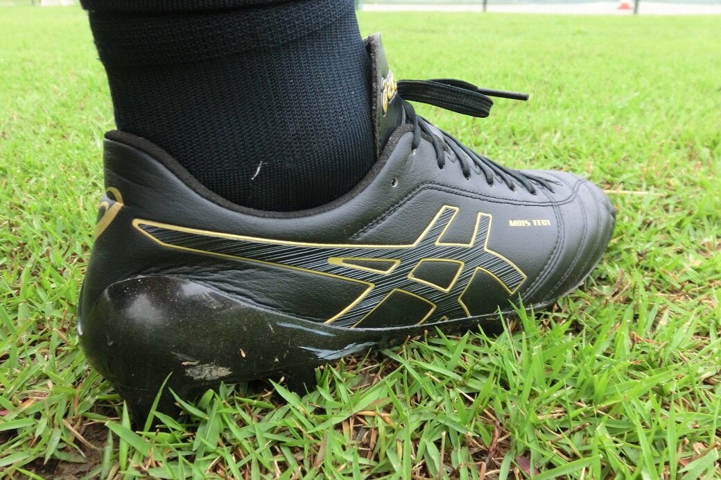 比較レビュー】モレリアNEO2 vs DSライトX-FLY4 特長を徹底分析