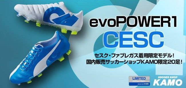 エヴォパワー 1 fg 限定品 エヴォパワー 1 fg 限定品 エヴォパワー 1 fg 限定品 プーマ
