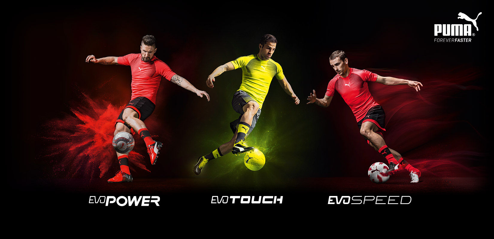 ドクロ グラフィック】 エヴォパワー1.3 & エヴォスピードSL-S2 HG