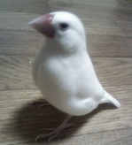 えど