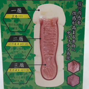 夢無花果内部構造