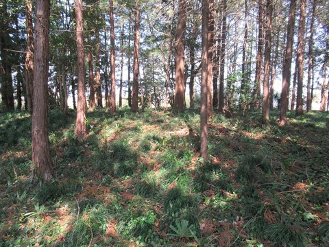 建物跡2