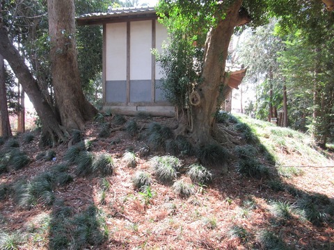 東から接近
