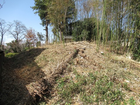 東から近景