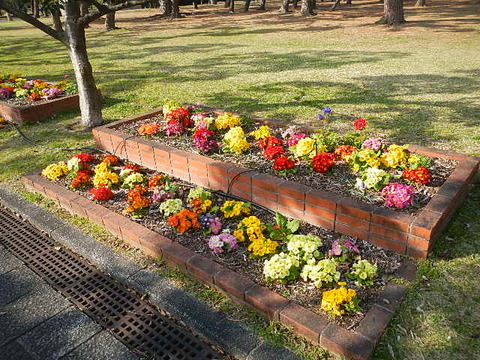 DSCN5417
