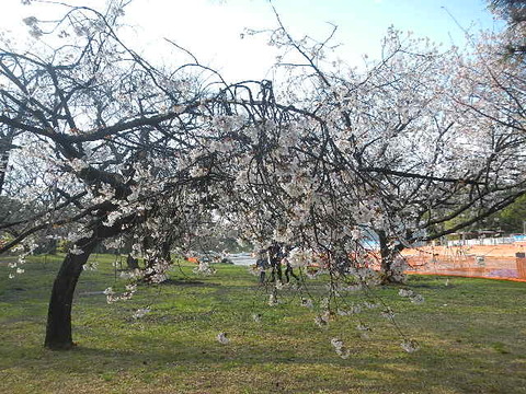 DSCN5419