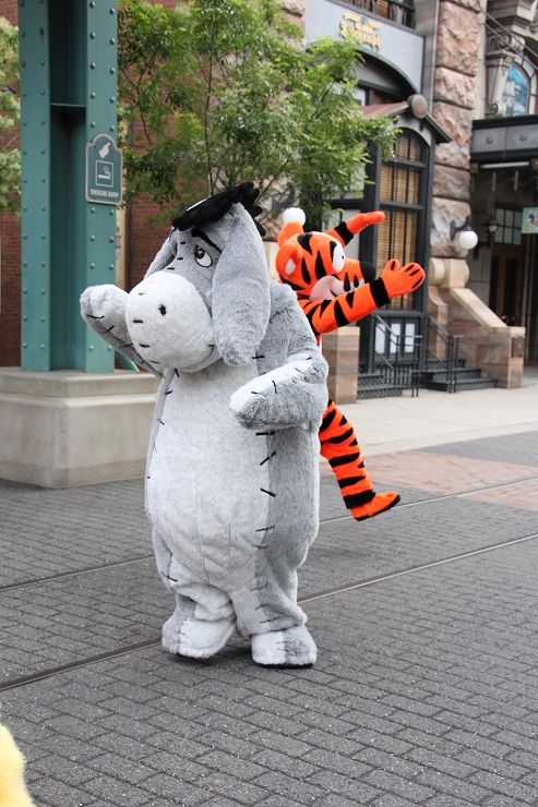 【未使用】 ディズニーシー ケープコッド プーさん Cape Cod Pooh CAPE COD POOH くまのプーさん ディズニーシー ケープコッドプー