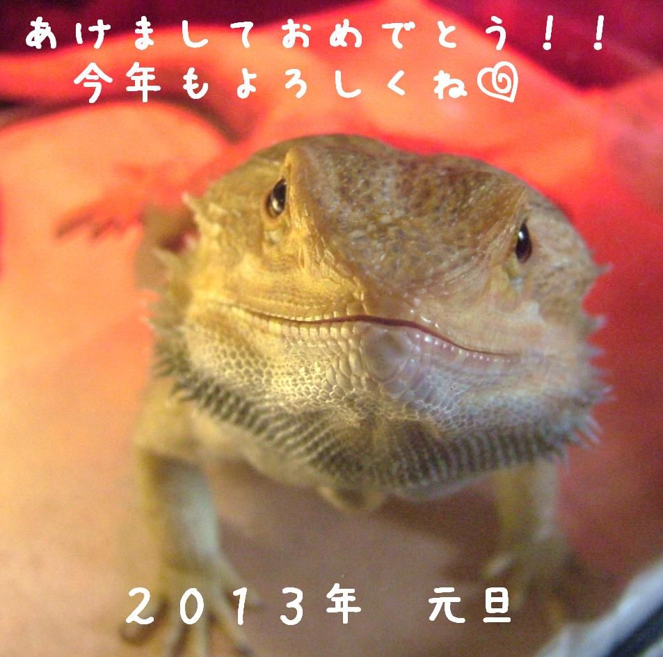 フトアゴヒゲトカゲ年賀状 フトアゴヒゲトカゲ壁紙 元日本橋女社長の奮闘ブログ フトアゴヒゲトカゲ年賀状 フトアゴヒゲトカゲ壁紙 元日本橋女社長の奮闘ブログ