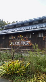 NEC_0010