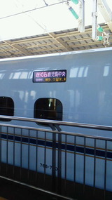 833113bc.jpg