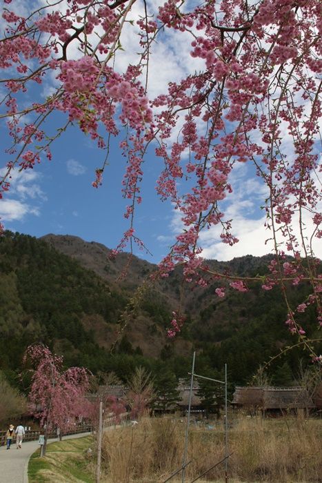 自然災害とも向き合い伝える観光地 西湖いやしの里根場 Hitorisizukaのblog