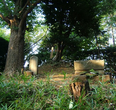 大船 歴史の町 鎌倉と川越