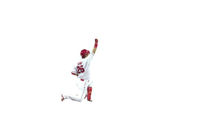 新井コラサヨナラヒット2