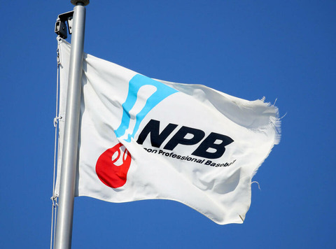 NPB旗1