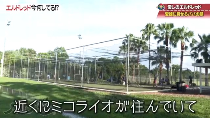 20190612カープ道エルドレッド18