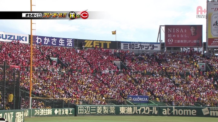 カープファン166甲子園