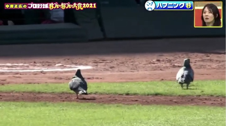 20211212珍プレー好プレー39