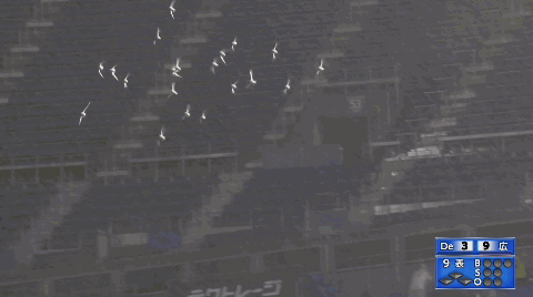 20210902DeNA戦_鳥GIF4