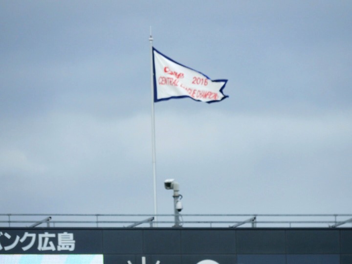 2016優勝カープファン249