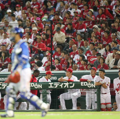 カープベンチ378