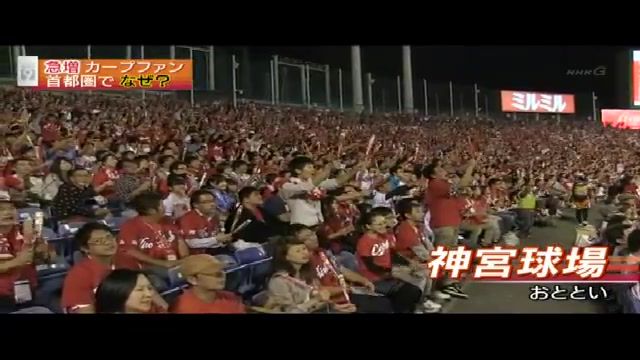NHK急増するカープファン008