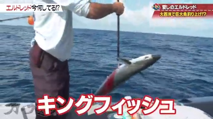 20190612カープ道エルドレッド11