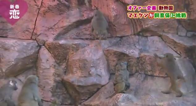 恋すぽ新春SP菊池久本マエケン024