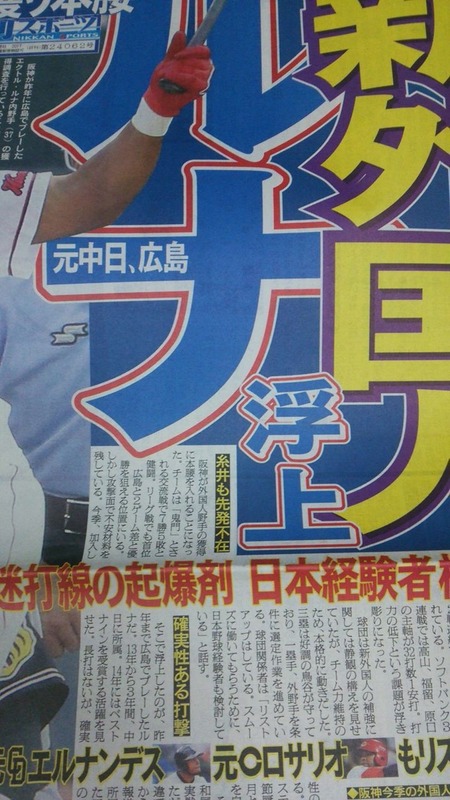 2010612新聞_阪神がルナを調査2