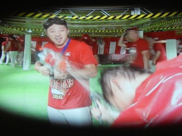 2016優勝カープファン284