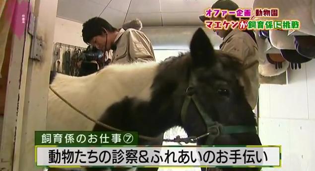 恋すぽ新春SP菊池久本マエケン064