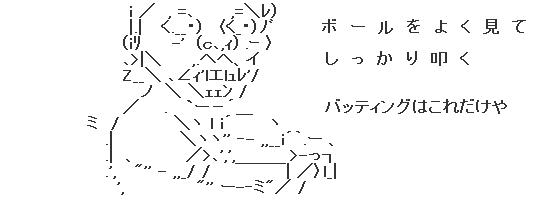 新井バティングAA1
