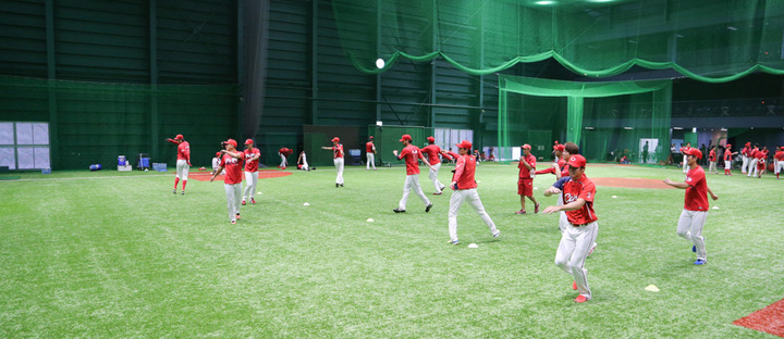 カープ選手色々277