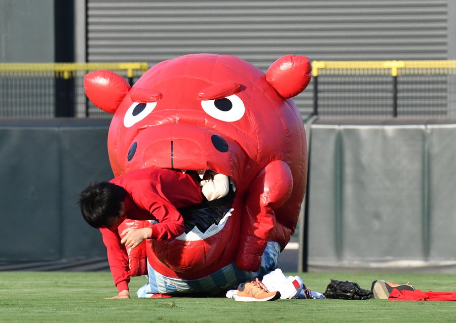 カープ ズムスタに謎のマスコットが再び出現 ボールボーイが犠牲者に 鯉速 広島東洋カープまとめブログ カープ ズムスタに謎のマスコットが再び出現 ボールボーイが犠牲者に 鯉速 広島東洋カープまとめブログ