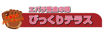 びっくりテラス1