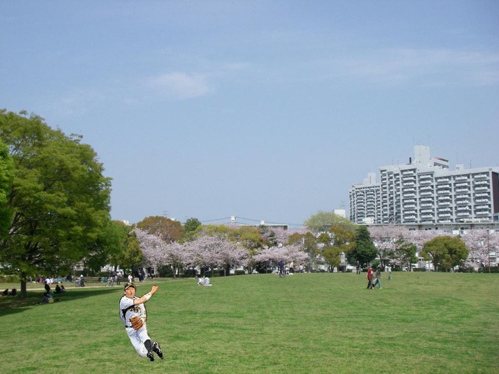 新井コラ公園