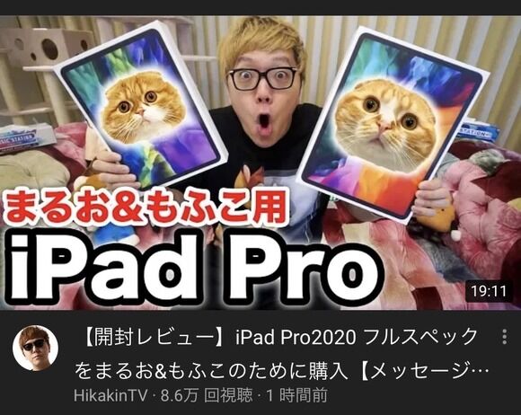 【速報】ヒカキン、飼い猫のためにiPadProフルスペックを2台購入するｗｗｗｗｗｗ