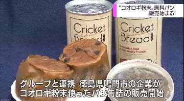 【悲報】人さん、コオロギを無慈悲に食糧化しはじめる