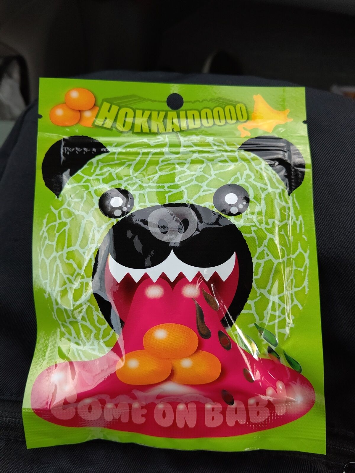 メロン熊の家 : B-blog