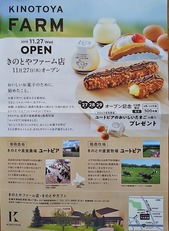 チラシ1