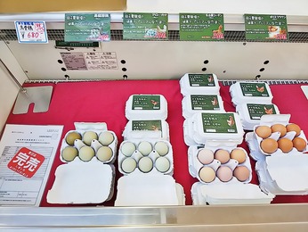 田子養鶏所
