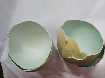 しあわせの青い卵