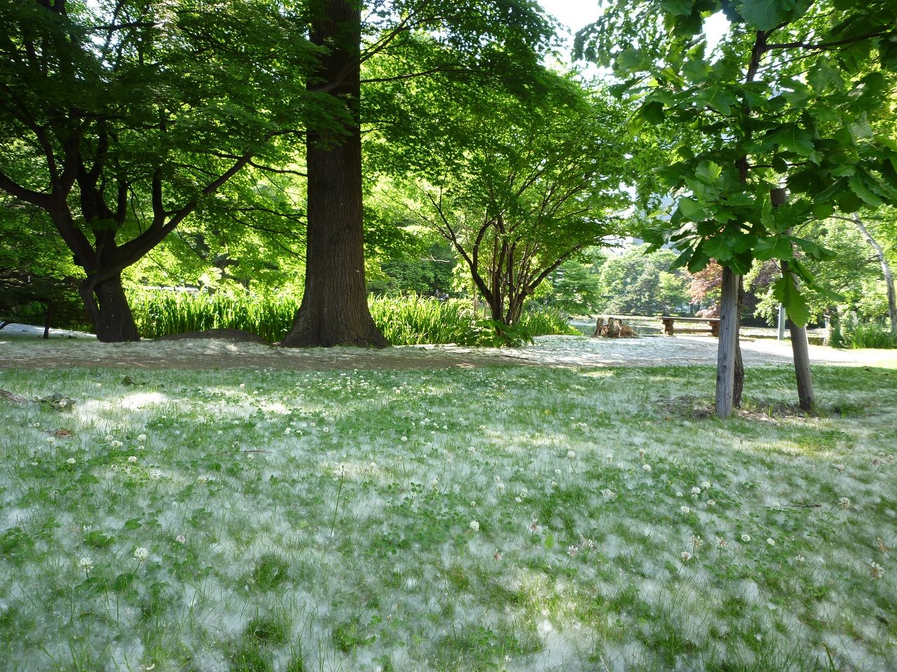 お好み焼き食べ放題by千房 札幌アスティ４５店 B Blog