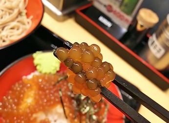 タピオカ