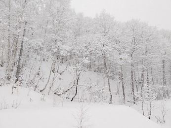 DSC_3095~2