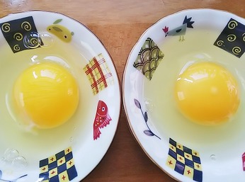 左アロー右ヒスイ