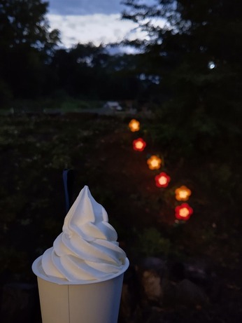 DSC_1491
