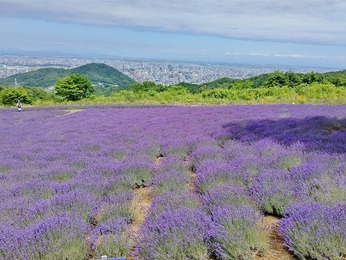 一望!!