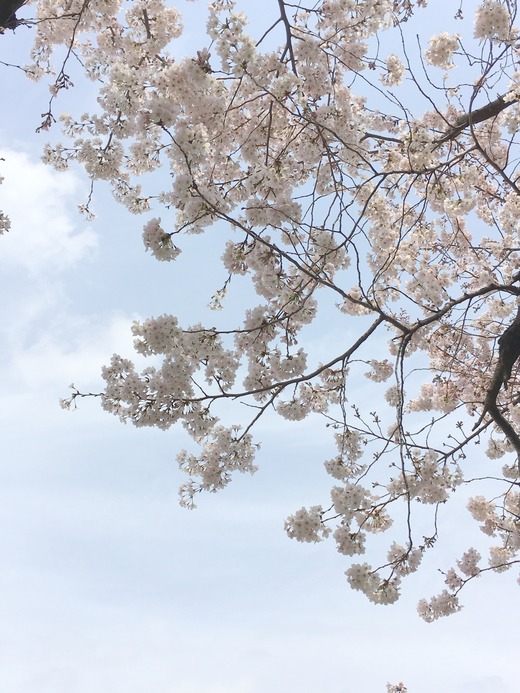 20170406_033708026_iOS